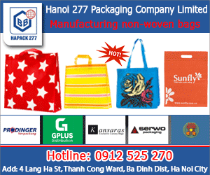 Hanoi 277 Packaging Company Limited