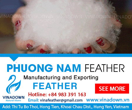 Phuong Nam Feather Company Limited