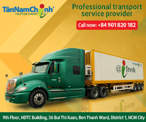 Tan Nam Chinh Trading And Service Company Limited